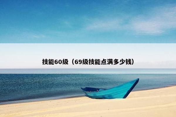技能60级（69级技能点满多少钱）