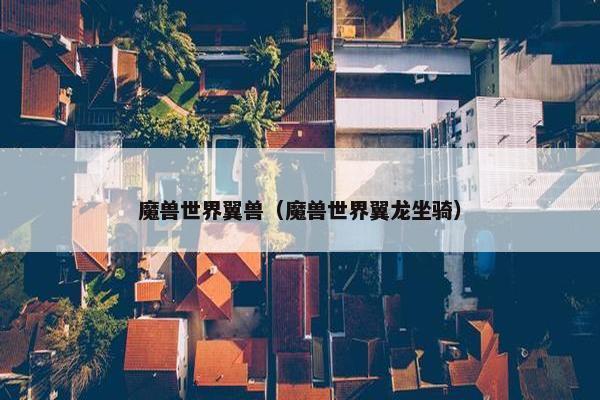 魔兽世界翼兽（魔兽世界翼龙坐骑）