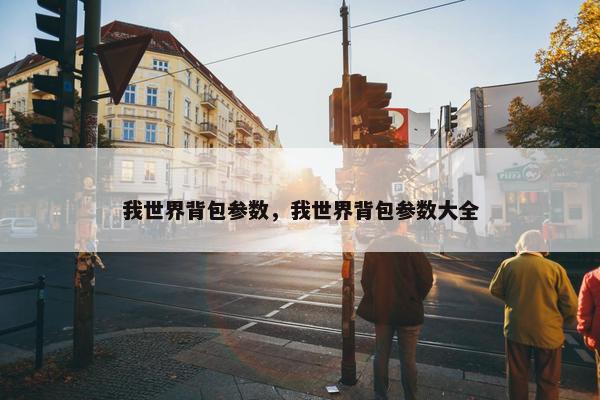 我世界背包参数，我世界背包参数大全