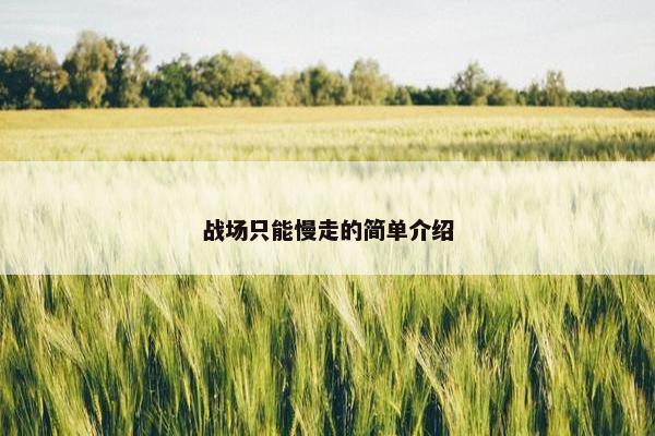战场只能慢走的简单介绍