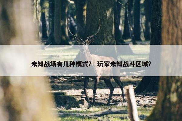 未知战场有几种模式？ 玩家未知战斗区域？