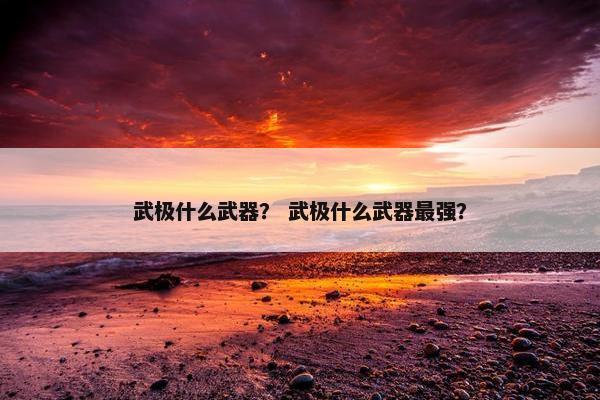 武极什么武器？ 武极什么武器最强？