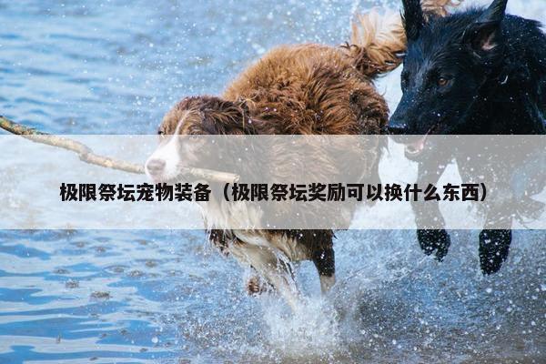极限祭坛宠物装备（极限祭坛奖励可以换什么东西）