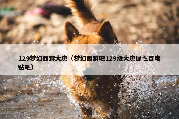 129梦幻西游大唐（梦幻西游吧129级大唐属性百度贴吧）