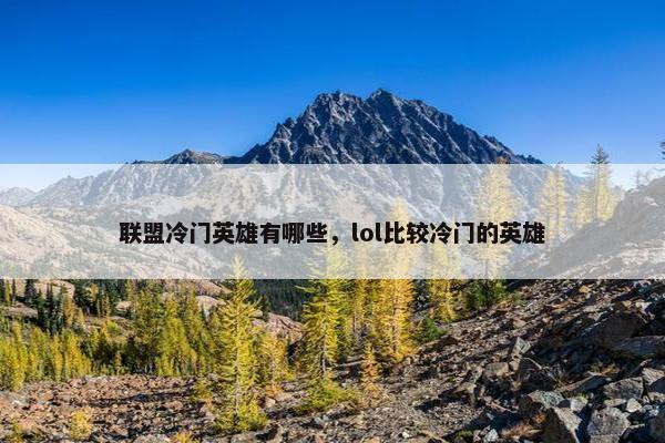 联盟冷门英雄有哪些，lol比较冷门的英雄