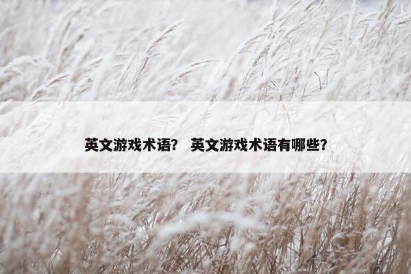 英文游戏术语？ 英文游戏术语有哪些？