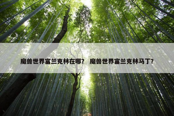 魔兽世界富兰克林在哪？ 魔兽世界富兰克林马丁？