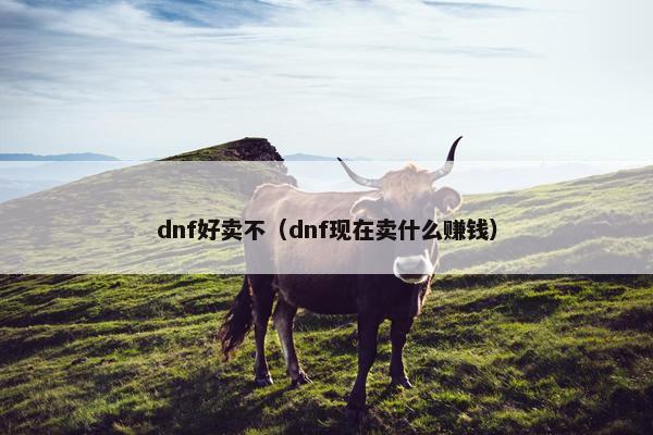 dnf好卖不（dnf现在卖什么赚钱）