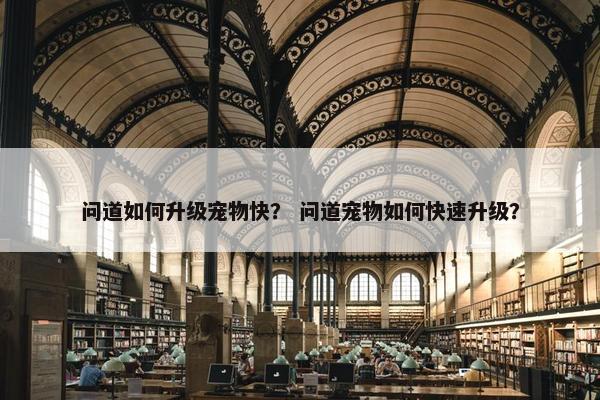 问道如何升级宠物快？ 问道宠物如何快速升级？