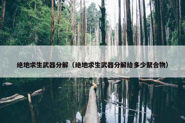 绝地求生武器分解（绝地求生武器分解给多少聚合物）