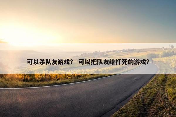 可以杀队友游戏？ 可以把队友给打死的游戏？