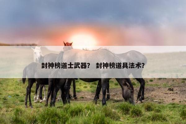 封神榜道士武器？ 封神榜道具法术？