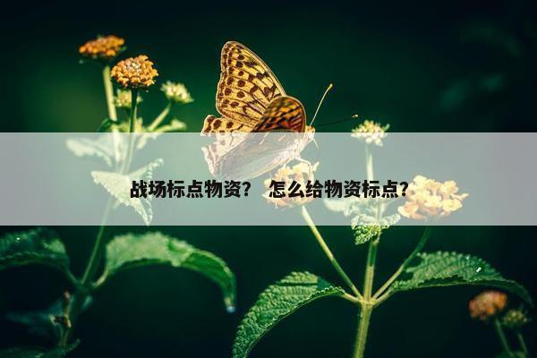 战场标点物资？ 怎么给物资标点？