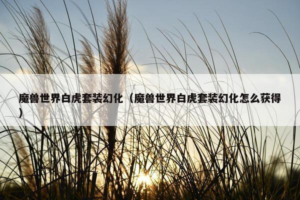 魔兽世界白虎套装幻化（魔兽世界白虎套装幻化怎么获得）