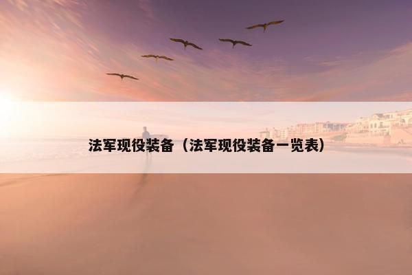 法军现役装备（法军现役装备一览表）