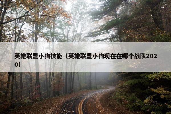 英雄联盟小狗技能（英雄联盟小狗现在在哪个战队2020）