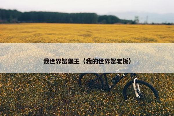 我世界蟹堡王（我的世界蟹老板）