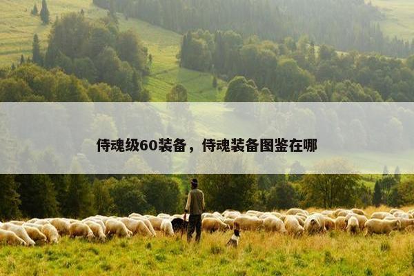 侍魂级60装备，侍魂装备图鉴在哪