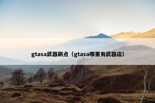 gtasa武器刷点（gtasa哪里有武器店）