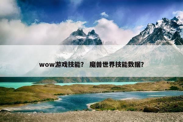 wow游戏技能？ 魔兽世界技能数据？