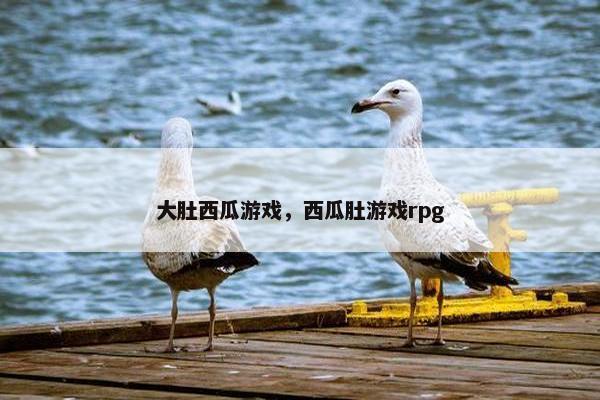 大肚西瓜游戏，西瓜肚游戏rpg