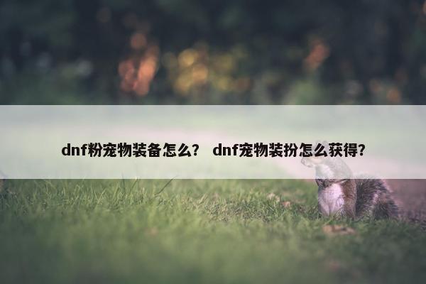dnf粉宠物装备怎么？ dnf宠物装扮怎么获得？