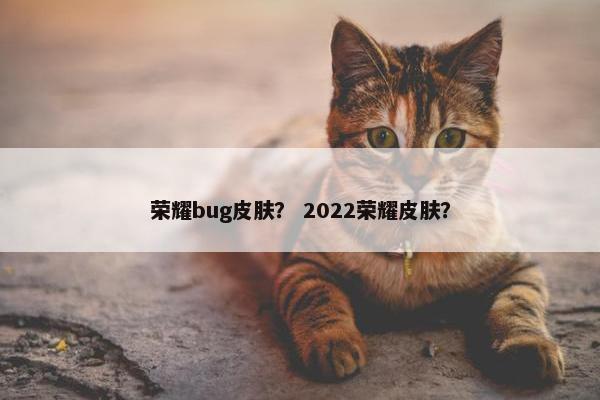 荣耀bug皮肤？ 2022荣耀皮肤？