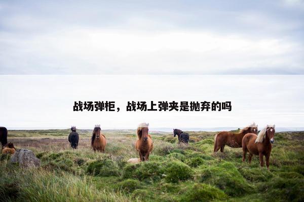 战场弹柜，战场上弹夹是抛弃的吗