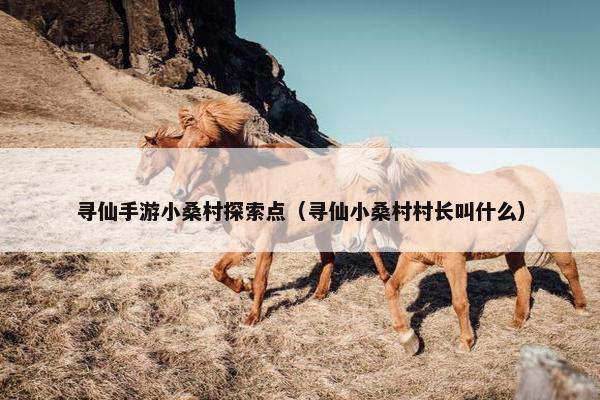 寻仙手游小桑村探索点（寻仙小桑村村长叫什么）