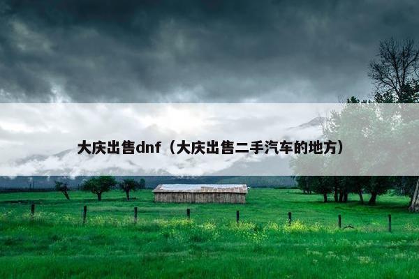 大庆出售dnf（大庆出售二手汽车的地方）