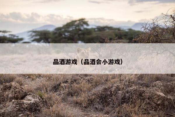 品酒游戏（品酒会小游戏）
