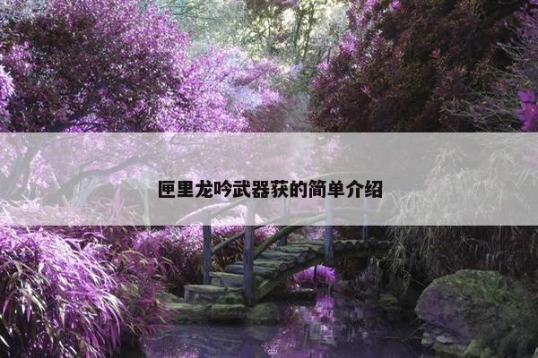 匣里龙吟武器获的简单介绍