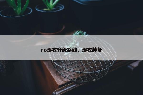 ro爆牧升级路线，爆牧装备