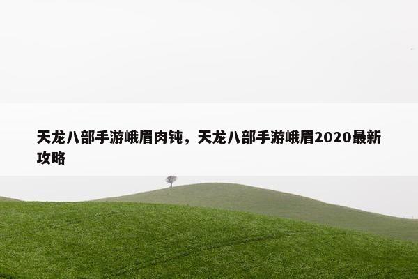 天龙八部手游峨眉肉钝，天龙八部手游峨眉2020最新攻略