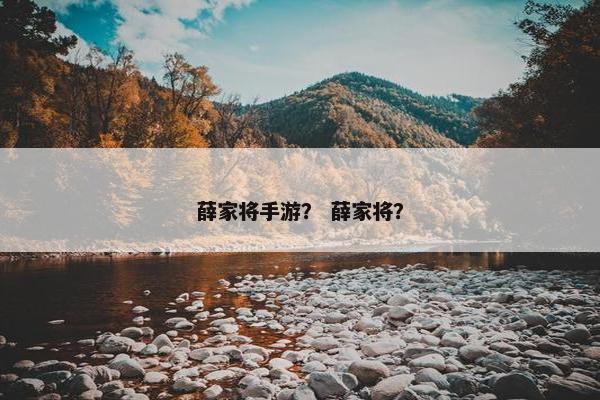 薛家将手游？ 薛家将？