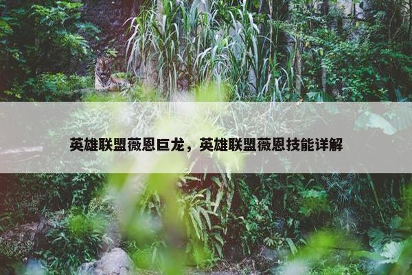 英雄联盟薇恩巨龙，英雄联盟薇恩技能详解