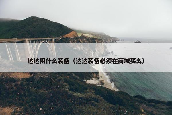 达达用什么装备（达达装备必须在商城买么）