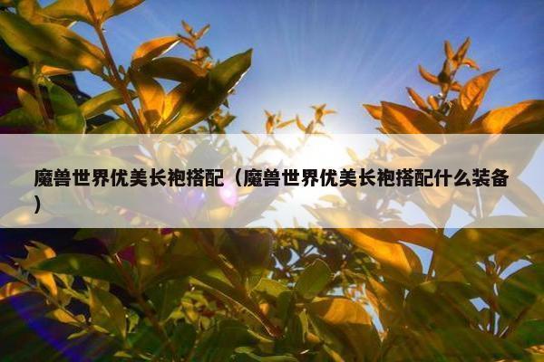魔兽世界优美长袍搭配（魔兽世界优美长袍搭配什么装备）