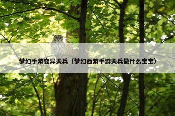 梦幻手游变异天兵（梦幻西游手游天兵做什么宝宝）