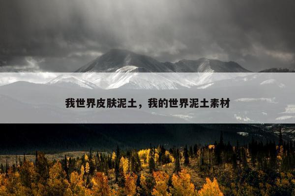 我世界皮肤泥土，我的世界泥土素材