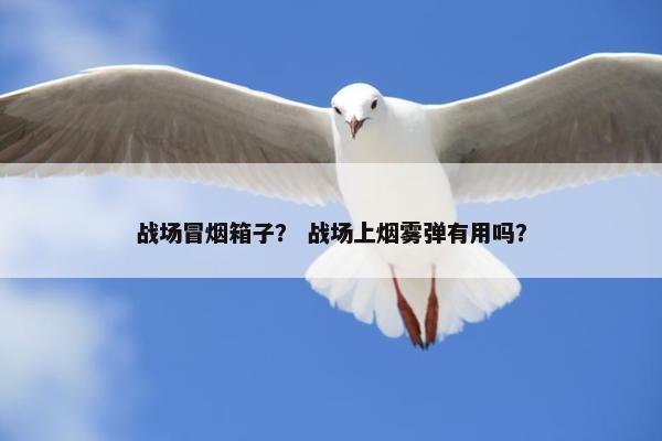 战场冒烟箱子？ 战场上烟雾弹有用吗？