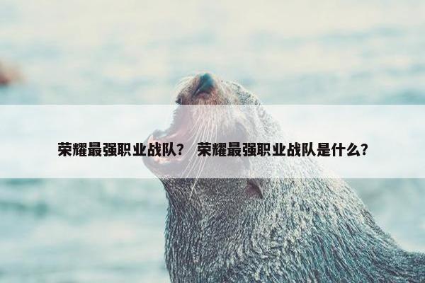 荣耀最强职业战队？ 荣耀最强职业战队是什么？