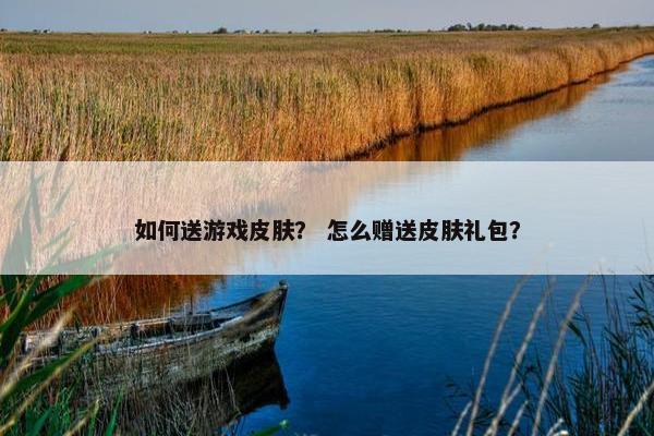 如何送游戏皮肤？ 怎么赠送皮肤礼包？