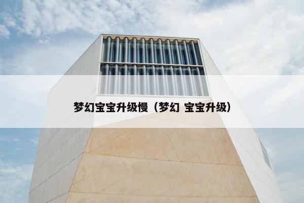 梦幻宝宝升级慢（梦幻 宝宝升级）