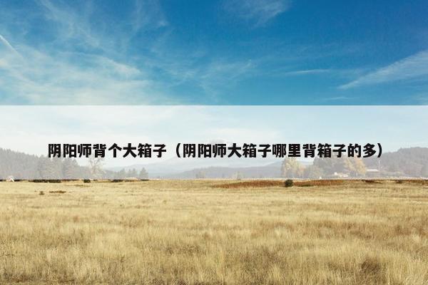 阴阳师背个大箱子（阴阳师大箱子哪里背箱子的多）