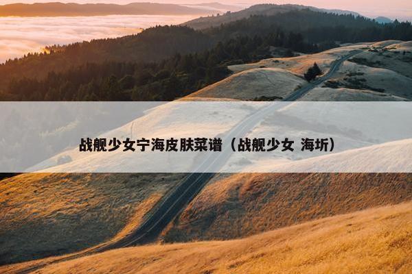 战舰少女宁海皮肤菜谱（战舰少女 海圻）