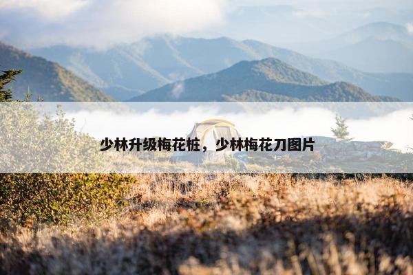 少林升级梅花桩，少林梅花刀图片