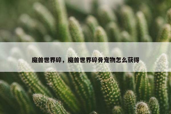 魔兽世界碎，魔兽世界碎骨宠物怎么获得