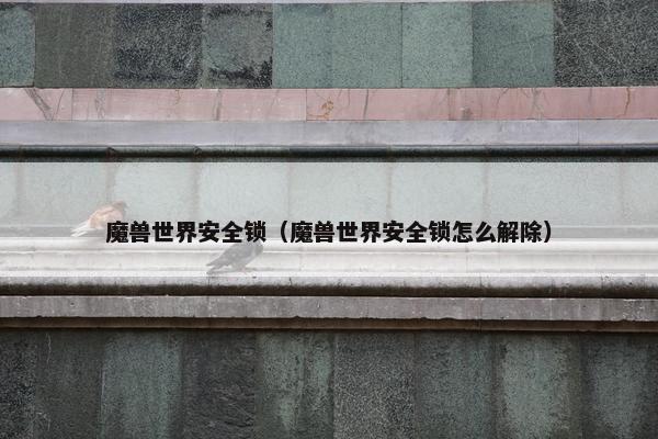 魔兽世界安全锁（魔兽世界安全锁怎么解除）
