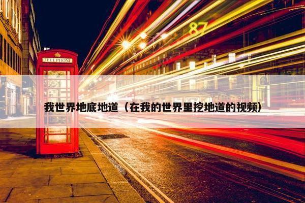 我世界地底地道（在我的世界里挖地道的视频）